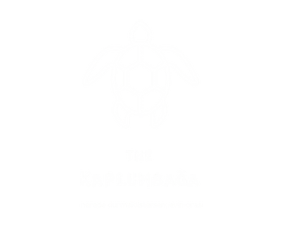 preloader-the-kaplumbaga-seffaf